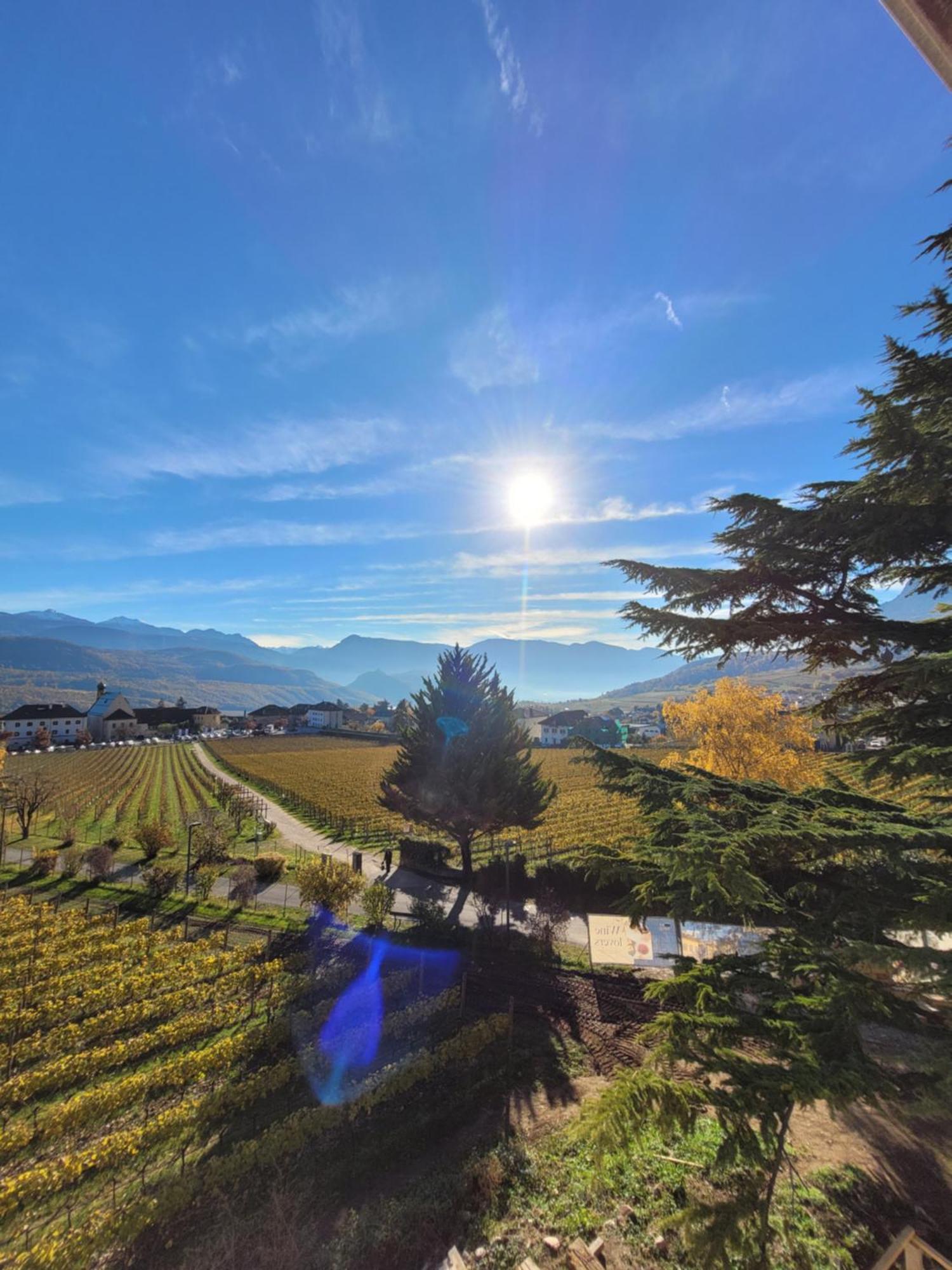 Castel Sallegg Suites Adults Only Caldaro Bagian luar foto