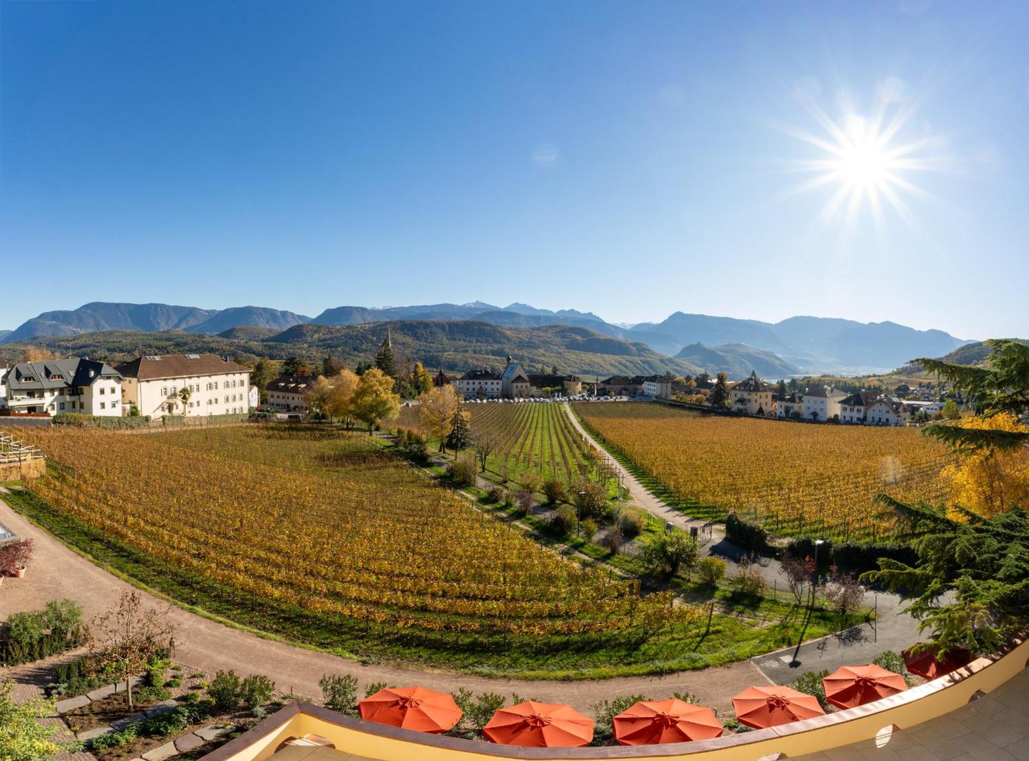 Castel Sallegg Suites Adults Only Caldaro Bagian luar foto
